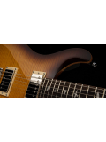 SE DGT (McCarty Tobacco Sunburst), зображення 4